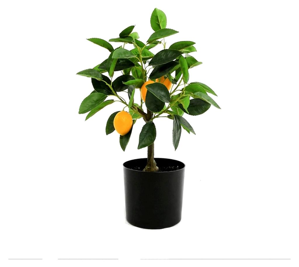 Künstliche Blumen und Pflanzen, 17-Zoll Schwarze Kunststofftopfpflanzen, Dekorative Faux Zitronenbaum Pflanze, Künstliche Bäume für Garten und ...