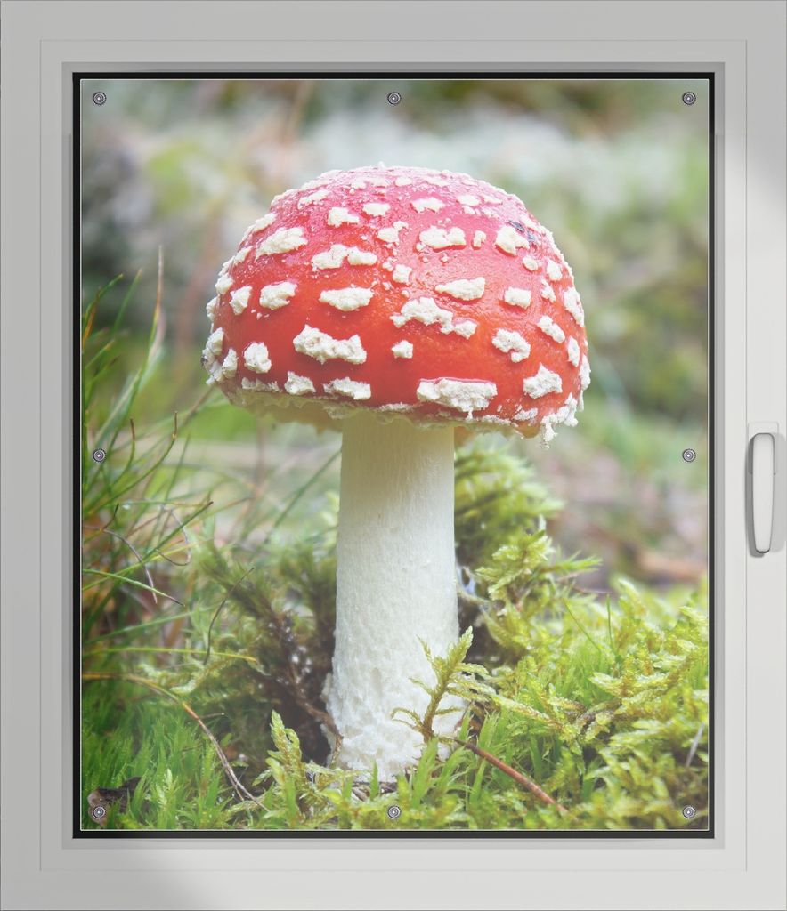 Wallario Lichtschutzbild, Dekorativer Sichtschutz Sonnenschutz 96 x 115 cm mit Motiv: Fliegenpilz im Wald - Verdunklung ohne Bohren