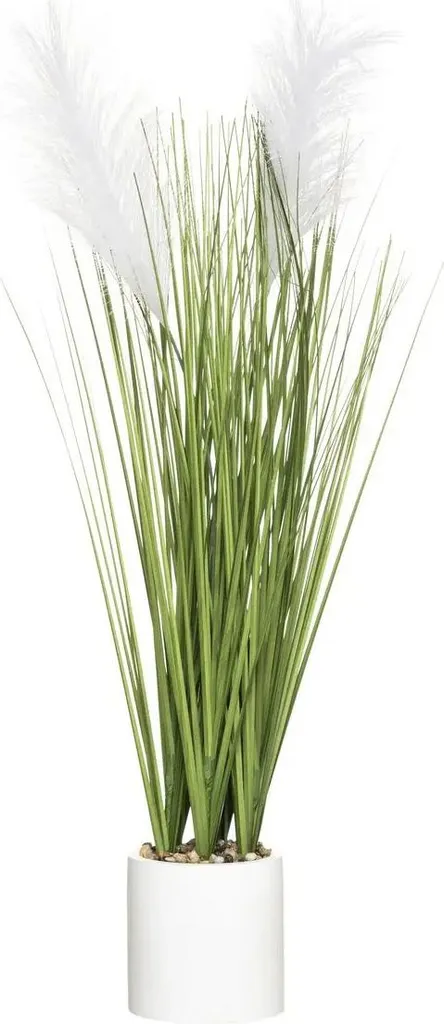 Set 2 Anelli Portapiante In Erba Marina Naturale Con Pellicola – Ø 34 E 27 Cm, Vasi In Fibra Per Piantare Fiori Ed Erbe Aromatiche - 6
