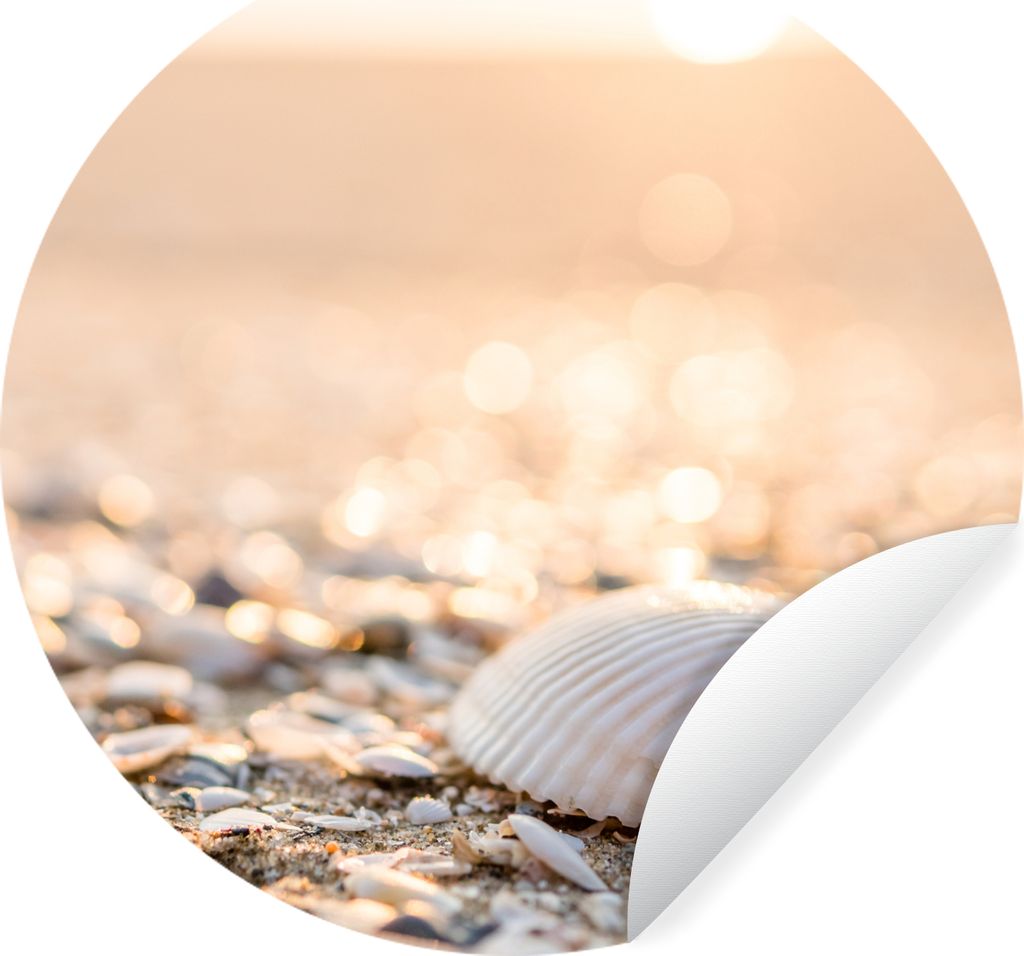 MuchoWow Runde Wandtattoo - Wandsticker Tapete Aufkleber Muscheln - Weiß - Strand - Sommer Ø 100 cm Selbstklebend und Repositionierbar - Wandau...
