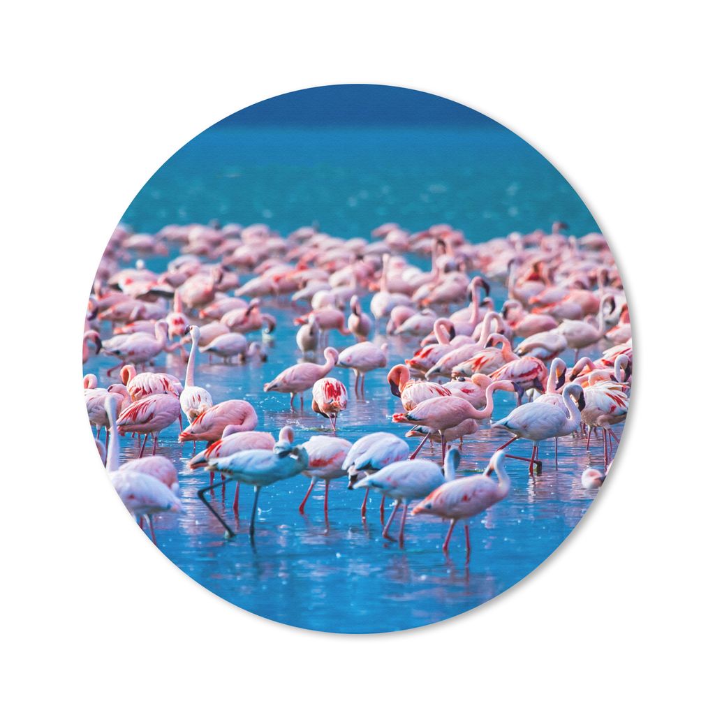 MuchoWow Mauspad Mousepad Flamingo - Wasser - Tropisch - Rosa 20x20 cm - Mousepads - Maus Mat - Pad - Mausunterlage - Schreibtischmatte