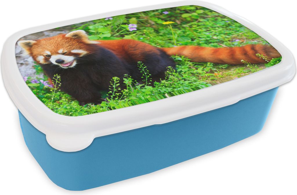 KitchenYeah Lunchbox Brotzeit Brotdose 17x11 cm Roter Panda - Grün - Gras Kinder Brotzeitdose - Lunch - Kunststoff - Brotbüchse - Sandwichbox -...