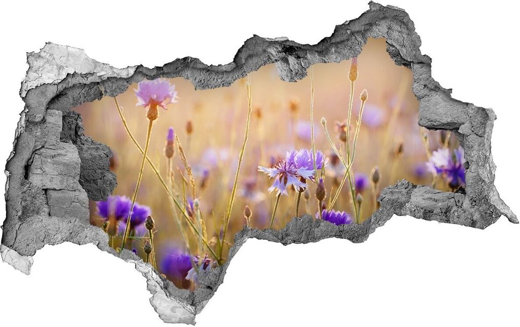 Selbstklebender Loch-3D-Aufkleber 95x73 cm Feldblumen