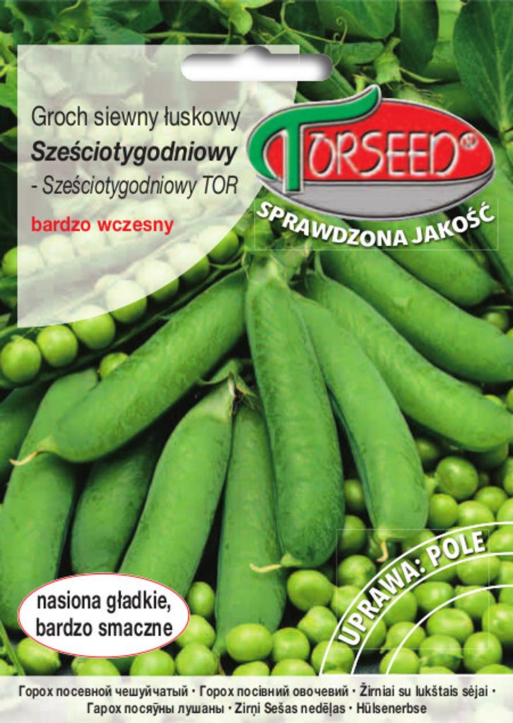 Schalerbsen mit glattem Samen Sechs Wochen alt 50g - Torseed
