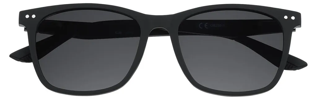 Lunettes de soleil ZIPPO OB230-1 avec monture multicolore robuste
