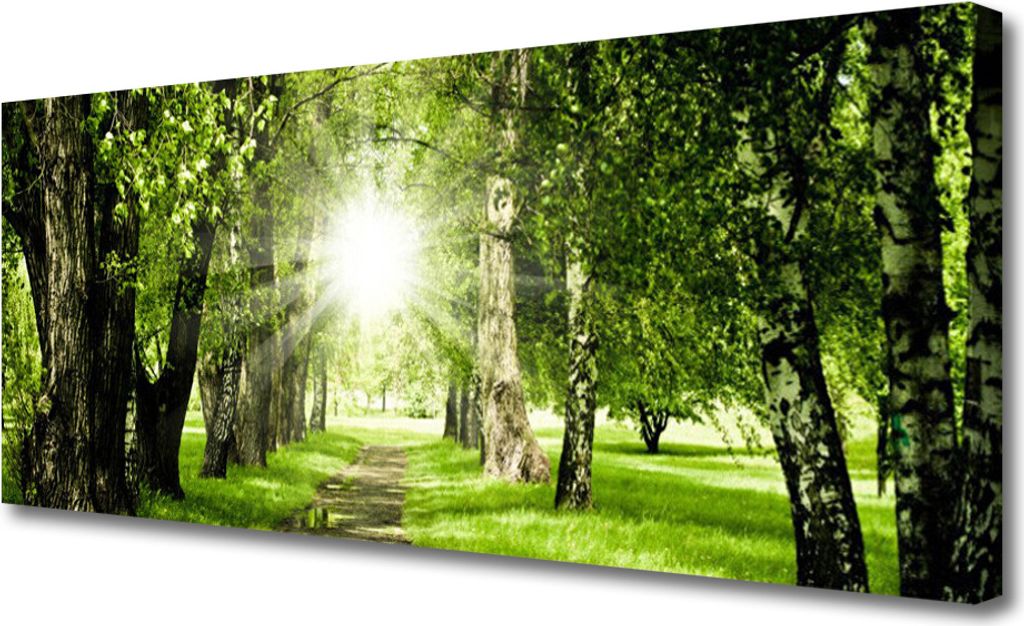 Tulup Leinwand-Bilder 125x50 Wandbild Canvas Kunstdruck Wald Sonne Fußpfad Natur
