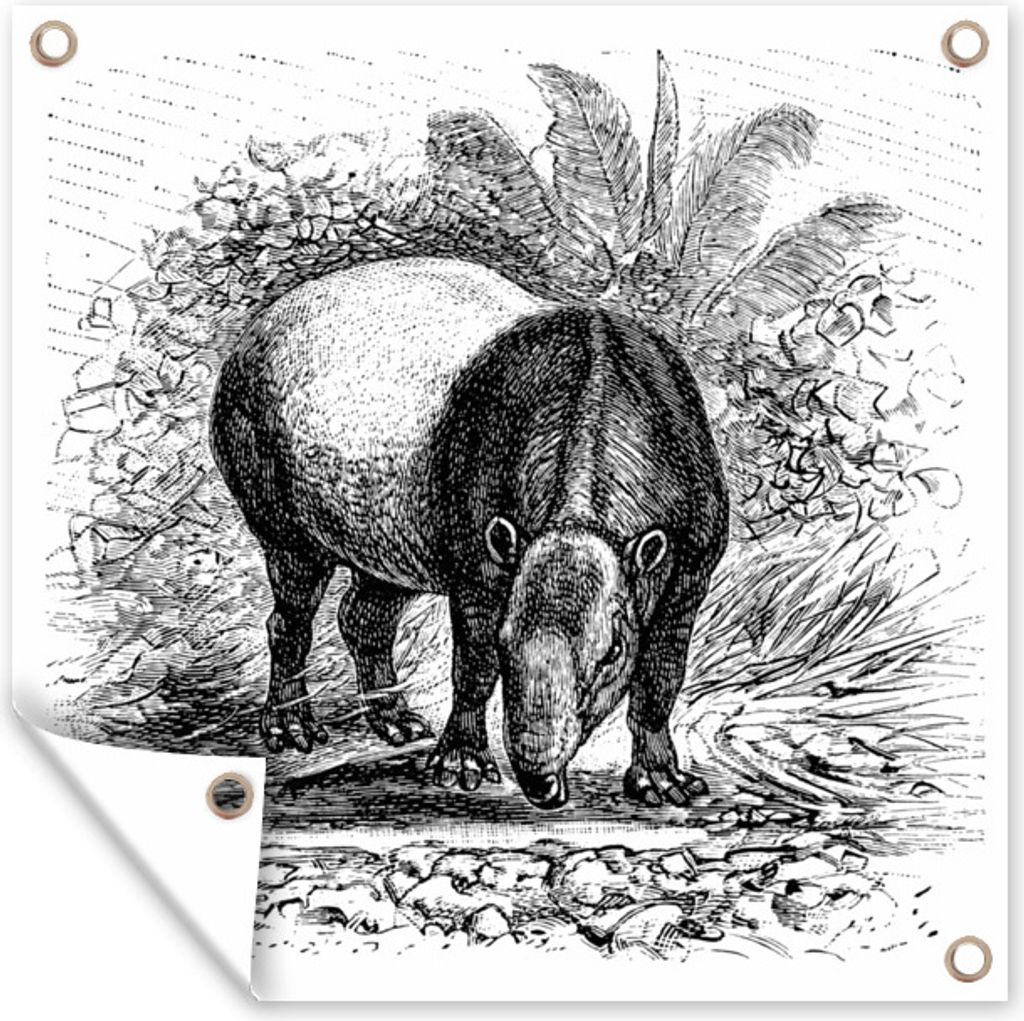 MuchoWow 100x100 cm Outdoor-Poster Gartendeko Sichtschutz Garten Poster für den Garten Illustration eines Tapirs in Schwarz-Weiß