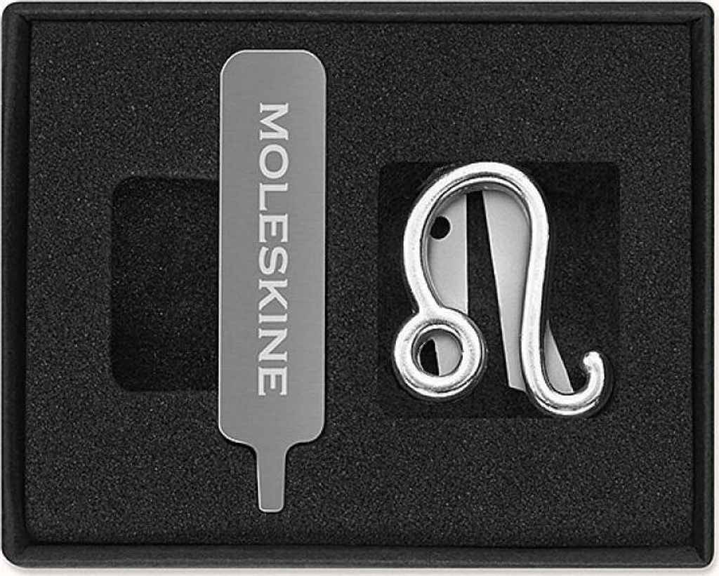 Kalender Notizbuch Pin Sternzeichen Löwe silber