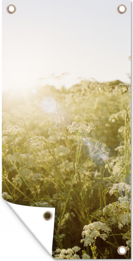 MuchoWow 30x60 cm Outdoor-Poster Gartendeko Sichtschutz Garten Poster für den Garten Blumen - Weiß - Frühling