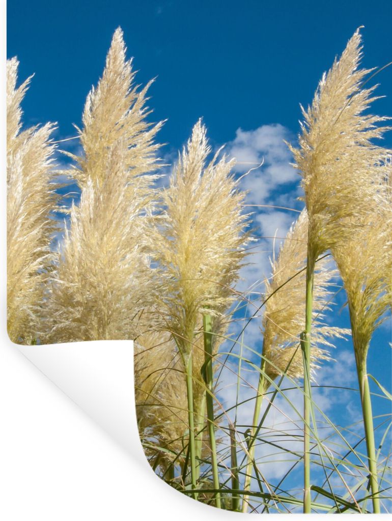 MuchoWow Wandtattoo Wandsticker Wandaufkleber Pampasgras - Pflanze - Natur 90x120 cm Selbstklebend und Repositionierbar - Faltenfrei