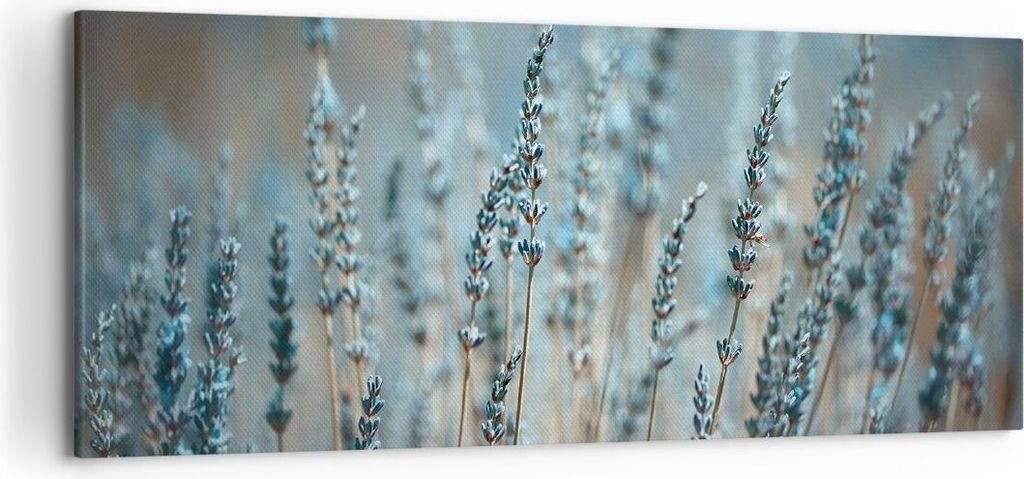 Bild auf Leinwand - Leinwandbild - Einteilig - Lavendel Klinge Blume - 120x50cm - Wand Bild - Wanddeko - Wandbilder - Leinwanddruck - Bilder - Wand...