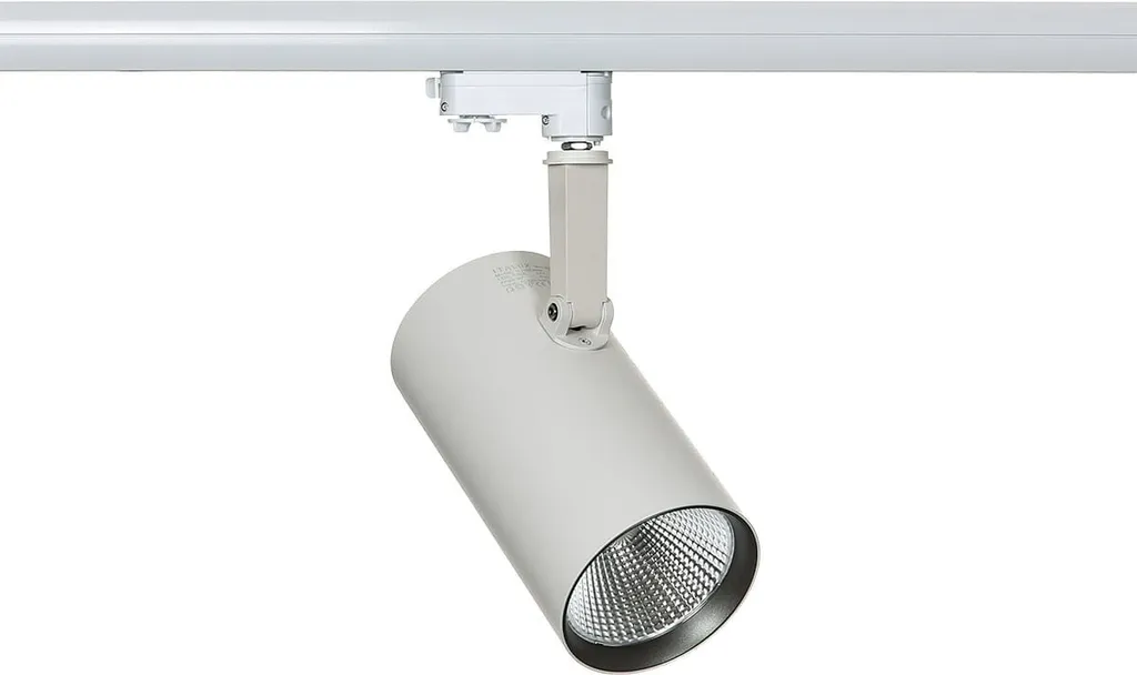 Éclairage Puissant pour Plafond Italux Russo TL7557 40W LED 3000K