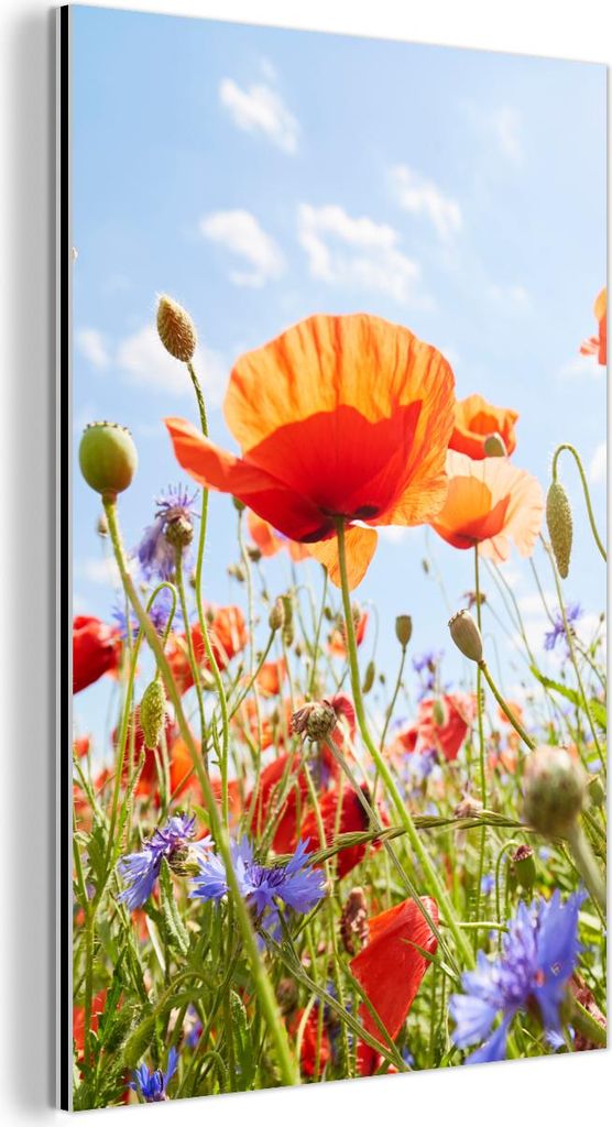 MuchoWow Wanddekoration Metall Metallbild Wandkunst 100x150 cm Blumen - Mohn - Frühling - Natur - Rot - Blau MuchoWow Aluminium Gemälde - Bild