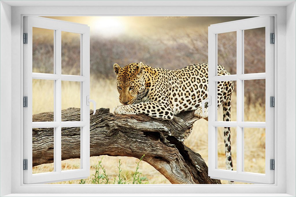 Wallario Poster mit Fenster-Illusion: Leopard auf Baumstamm in Afrika, Größe: 61 x 91,5 cm (Maxiposter)
