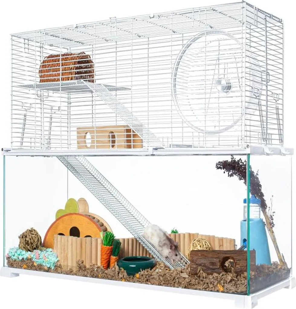 Terrarium rongeurs OiiBO 50x30x50cm en verre avec ventilation optimale