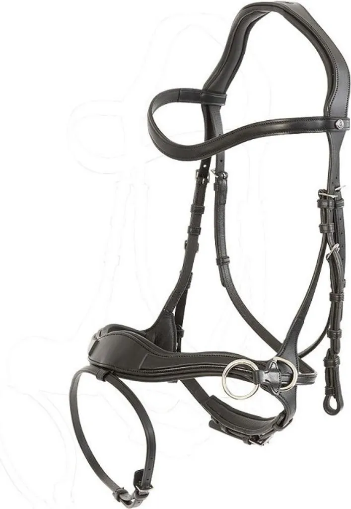 Bridon combiné anglais Falsterbo T-Motion Trust cuir noir et argenté
