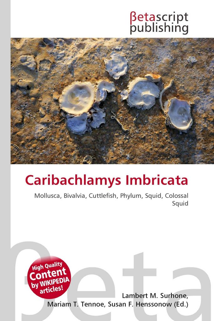 Caribachlamys Imbricata