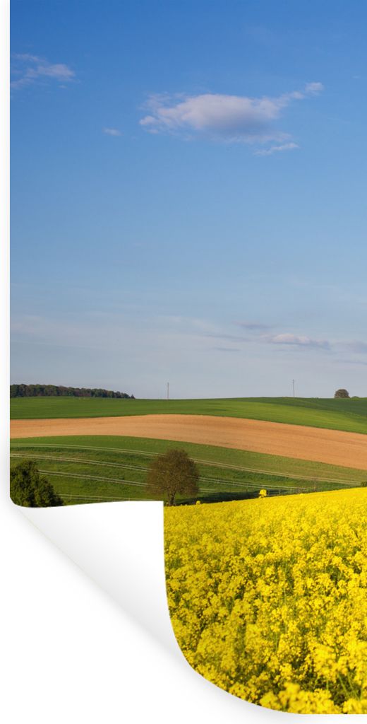 MuchoWow Wandtattoo Wandsticker Wandaufkleber Frühling - Blumen - Gelb 60x120 cm Selbstklebend und Repositionierbar - Selbstklebend - Fototapeten