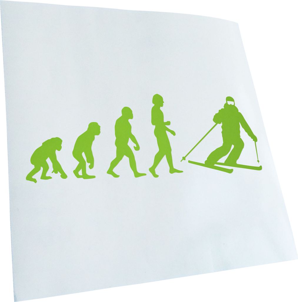 Kiwistar - Autoaufkleber - Evolution Skifahren Skilaufen Heckscheibenaufkleber - Aufkleber für Auto Kfz Fahrrad, LKW, Truck Mofa