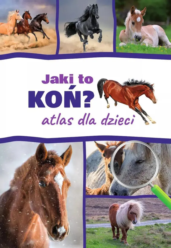 Tout Savoir sur les Chevaux - Atlas pour Enfant contre l'Ennui et Curieux