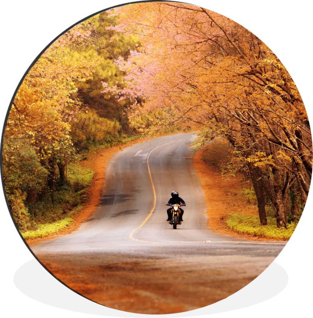 MuchoWow Aluminium Wandkreis Motorrad - Straße - Herbst Ø 30 cm Wanddeko Modern Wohnzimmer - Wand Bild - Wohnzimmer - Runde Bilder - Alubilder ...