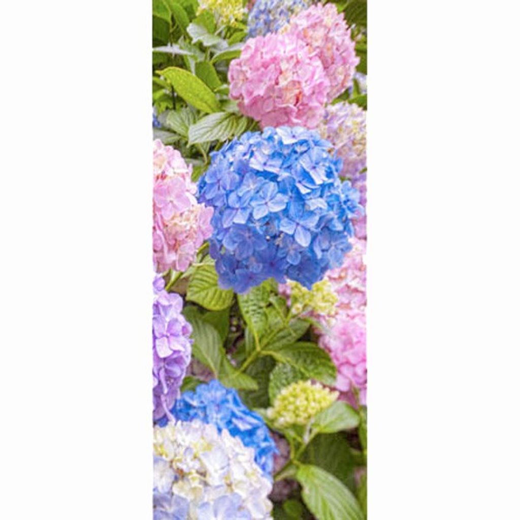 Textilposter - Hortensien Blumen Poster aus Stoff ca 90 x 180 cm