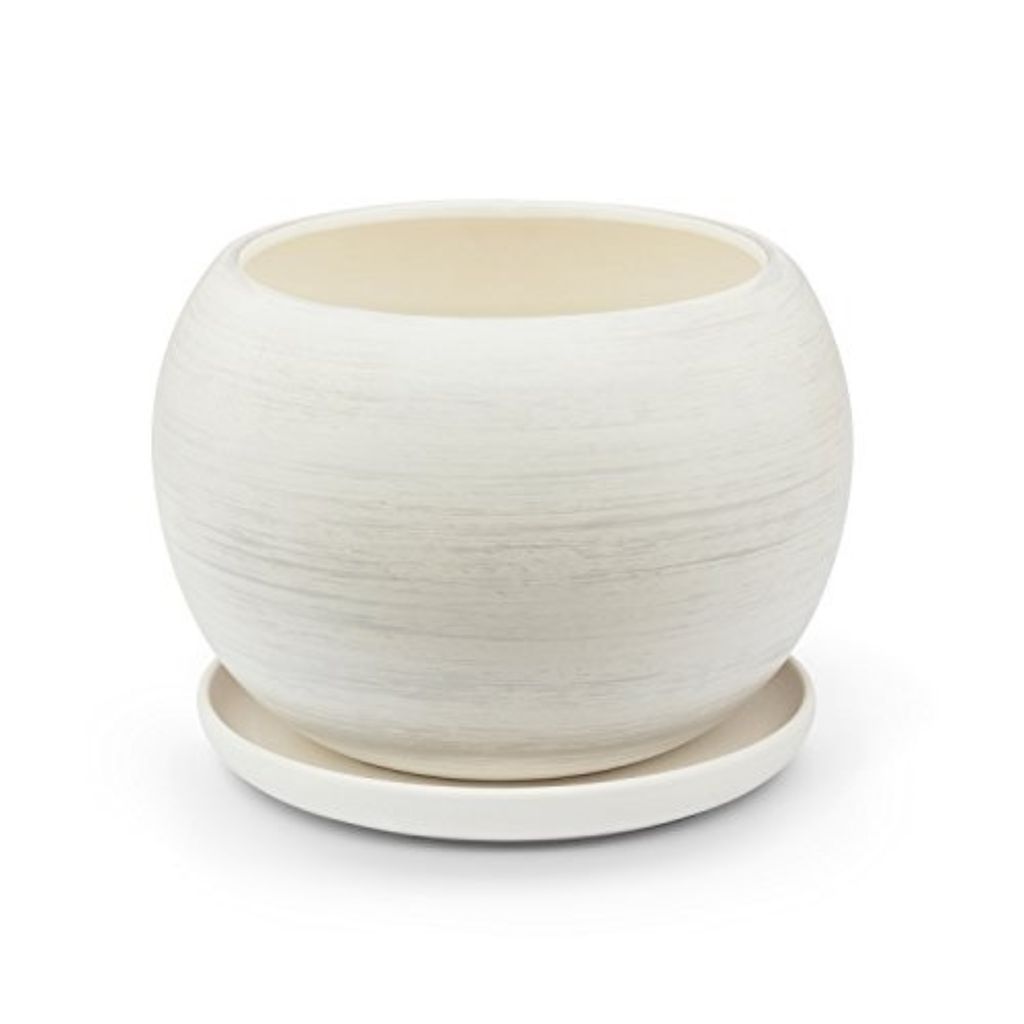 A white ceramic pot with a saucer on a white background.