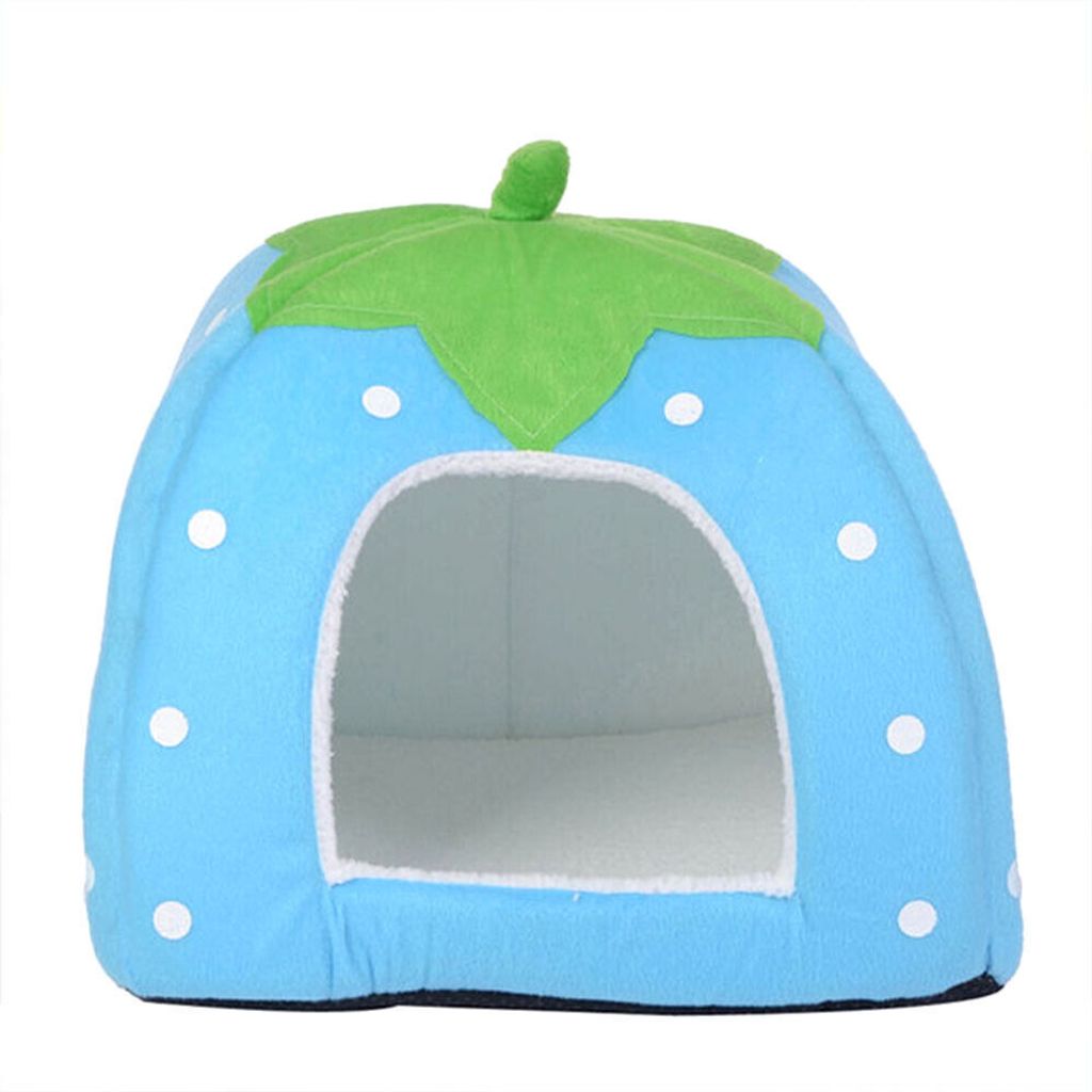A blue strawberry-shaped pet bed with a green leaf top.