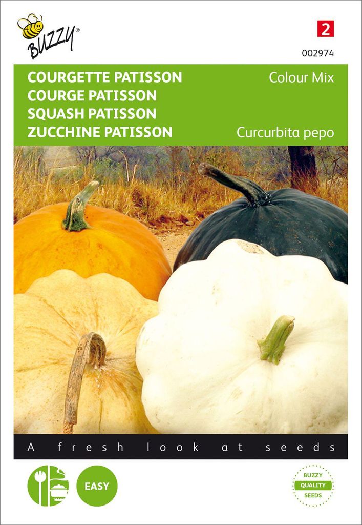 Kürbis Patisson Colour mix | Patissonkürbissamen von Buzzy Seeds