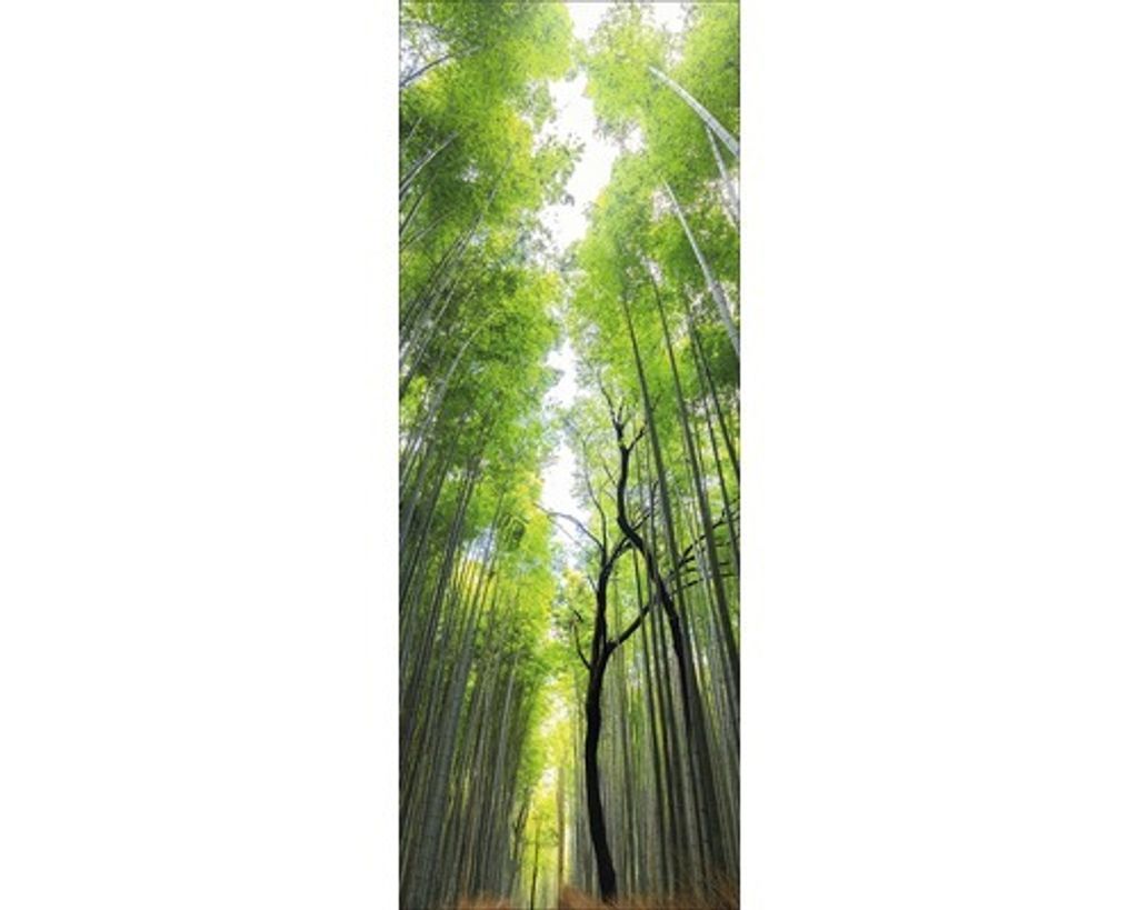 Glasbild Treetops Feng Shui 30x80 cm