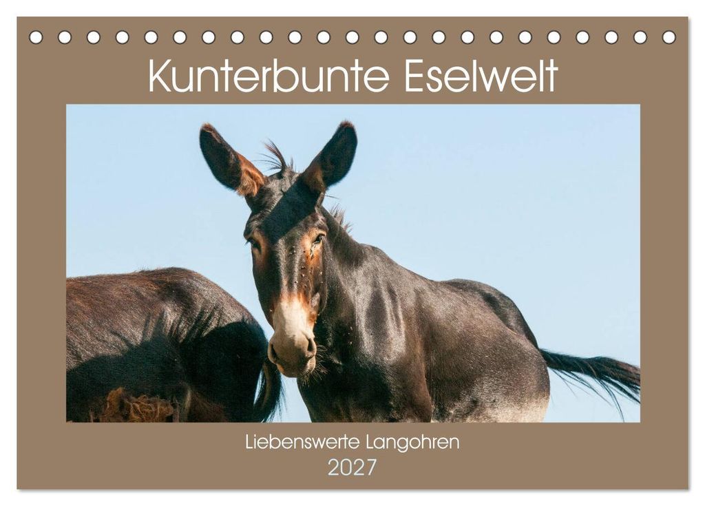 Kunterbunte Eselwelt - Liebenswerte Langohren (Tischkalender 2027 DIN A5 quer), CALVENDO Monatskalender