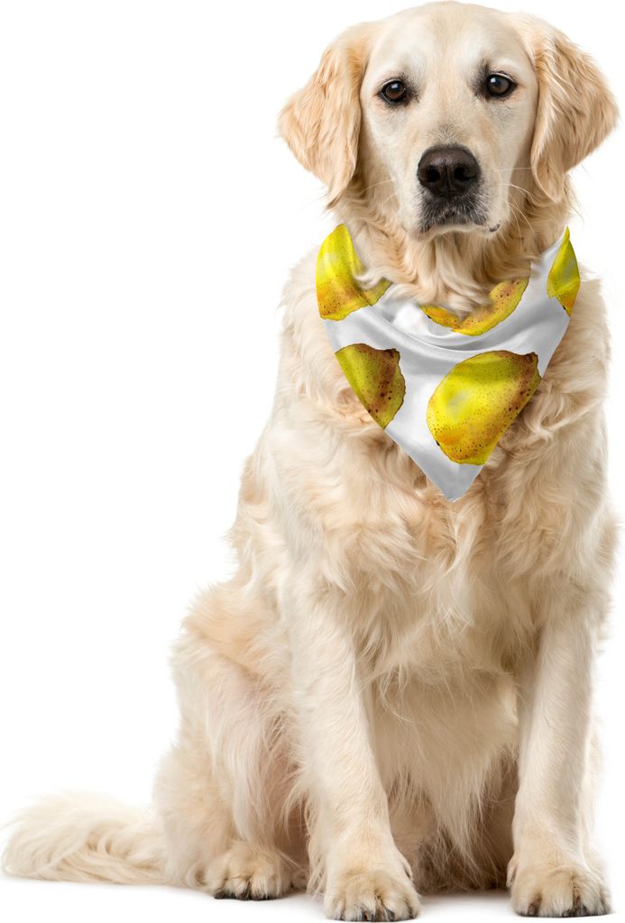 ABAKUHAUS Zitrone Haustier Bandana, Aquarell Frucht-Kunst, 55x55 cm, Gelb und Gelb Erde