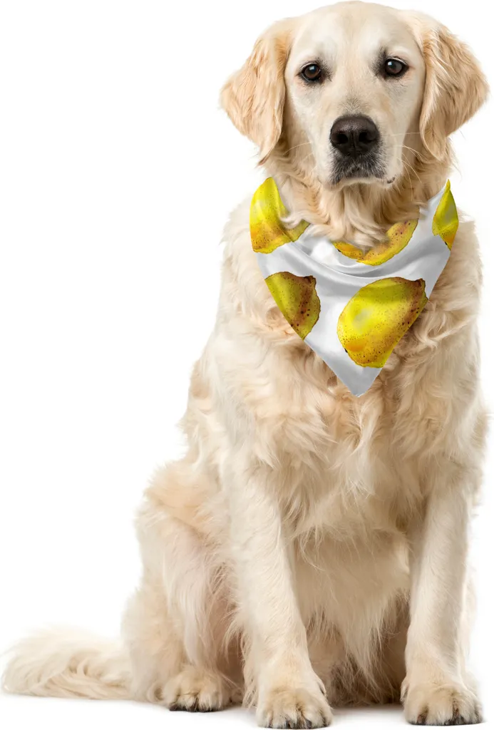 ABAKUHAUS Bandana Cani Limoni: Un Pezzetto d'Estate al Collo