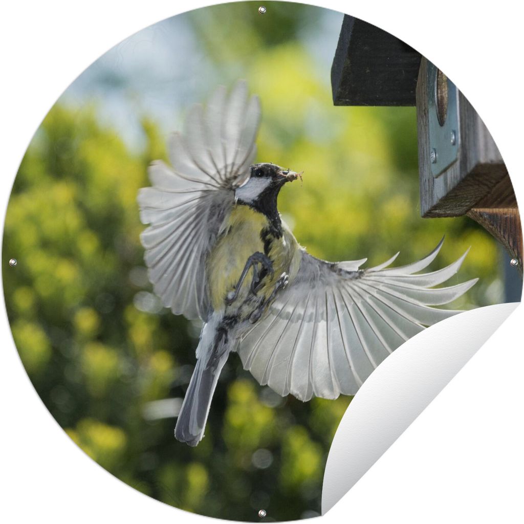 MuchoWow Gartenposter Outdoor-Poster Rund Eine Kohlmeise fliegt in ein Vogelhaus Ø 150 cm Gartendeko Rundes Poster draußen