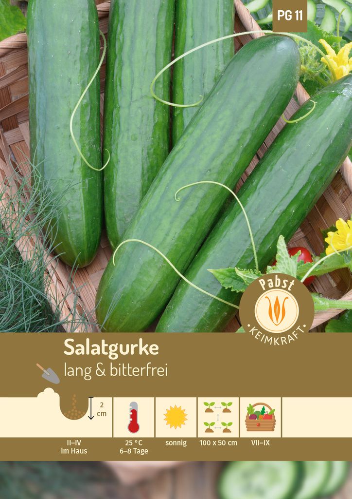 Artikelbild 1 von 'Salatgurke Saladin F1' aus der Kategorie Salatgurkensamen