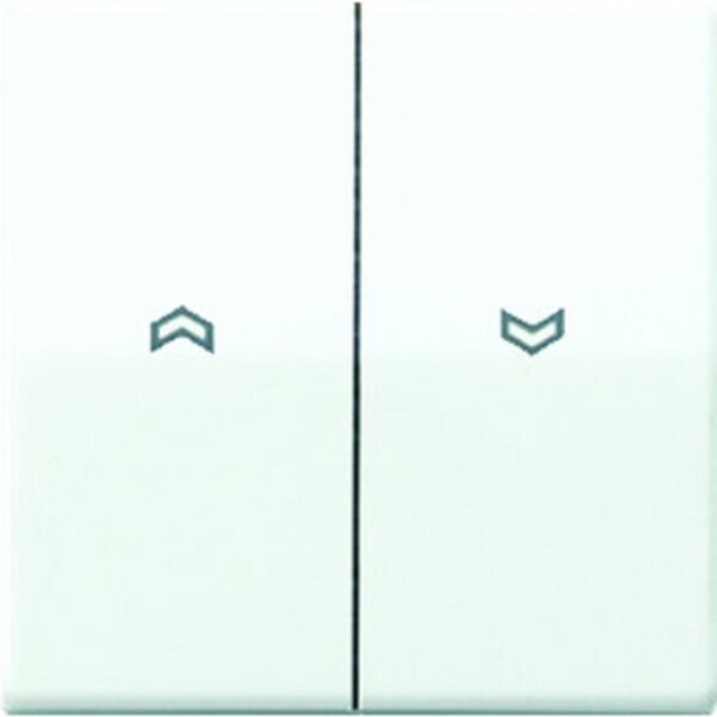 Jung AS 591-5 P Cieco a bilanciere bianco alpino AS500 Immagine del prodotto 
