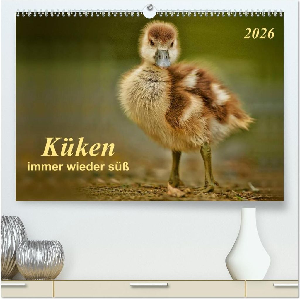 Küken - immer wieder süß (hochwertiger Premium Wandkalender 2026 DIN A2 quer), Kunstdruck in Hochglanz