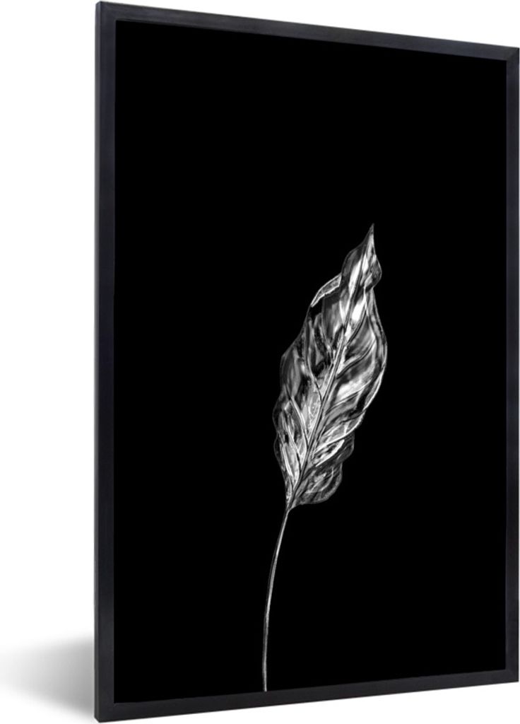 MuchoWow Gerahmtes Poster Dünnes Blatt auf schwarzem Hintergrund - schwarz und weiß 60x90 cm - Poster mit Schwarzem Bilderrahmen Wandposter Rah...