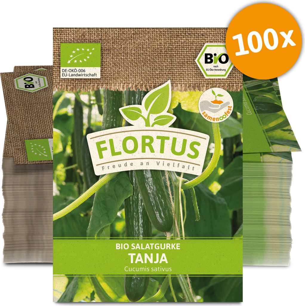 Salatgurke Tanja (100 Stück) | Gurkensamen von FLORTUS