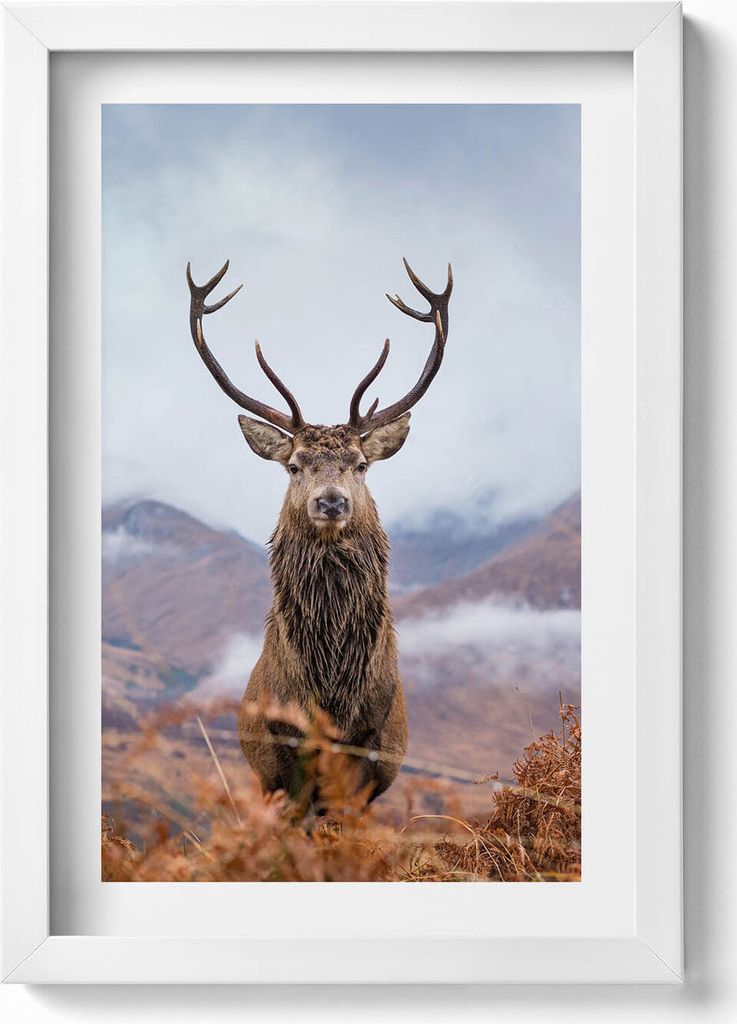 Gerahmtes Kunstwerk– Wandbild mit Rahmen – Gerahmtes Bild – Wanddekoration – 20x30 cm – Weiß