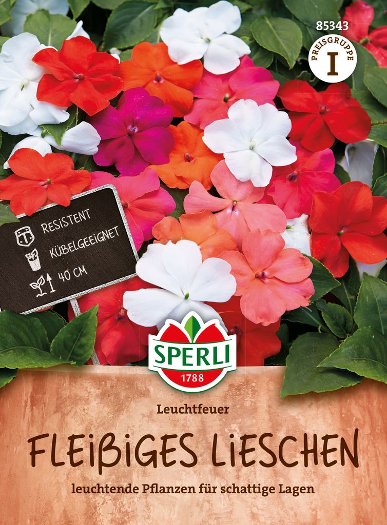 SPERLI Fleißiges Lieschen Samen Leuchtfeuer Impatiens walleriana 25 Pflanzen