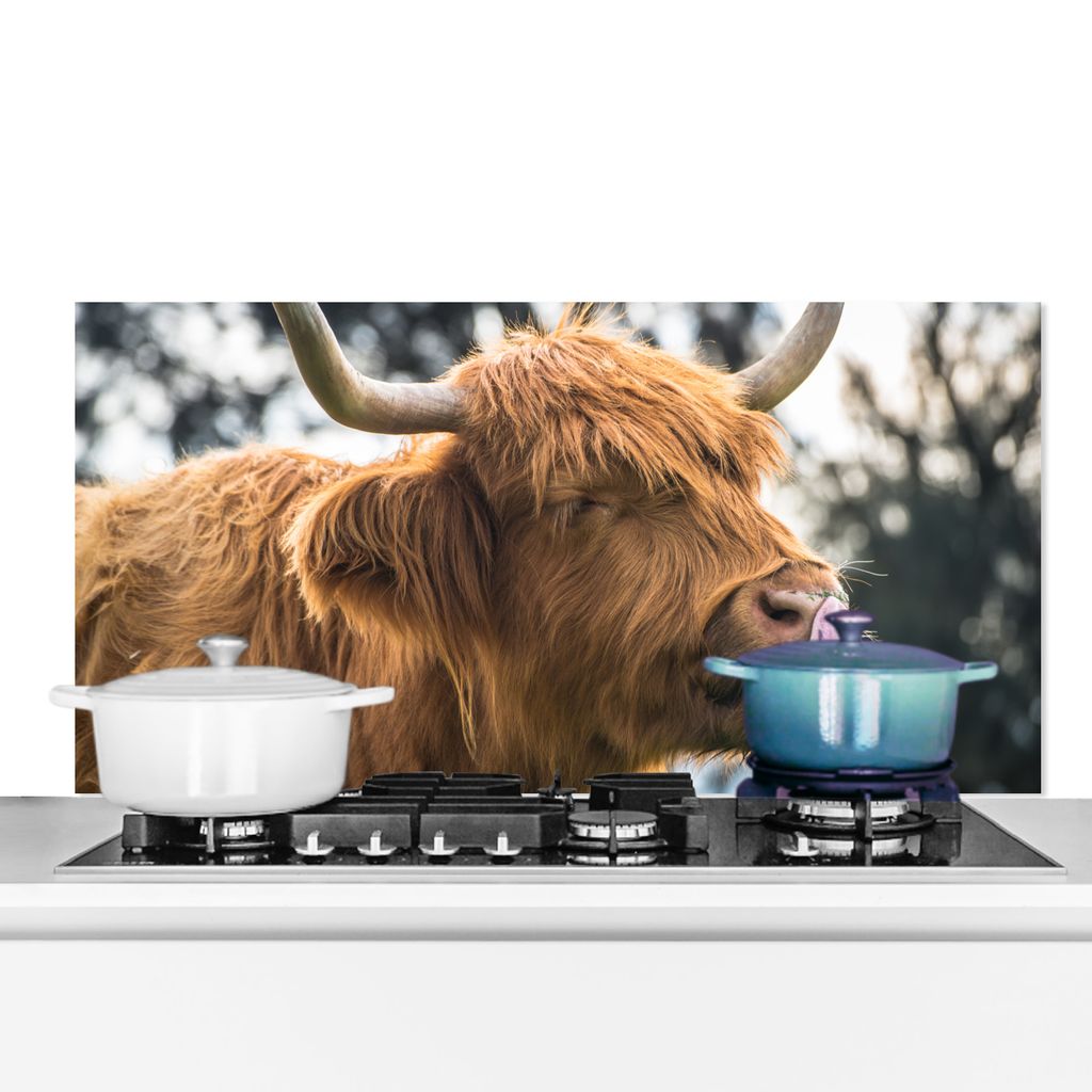 KitchenYeah Spritzschutz Küche - Küchenrückwand - Wandschutz für Herd und Spüle - Schottisches Hochlandrind - Hoorn - Natur 70x30 - Alu-Dibo...