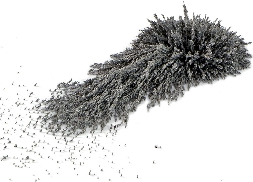 Magnetfeld Eisenpulver 100g Produktbild 
