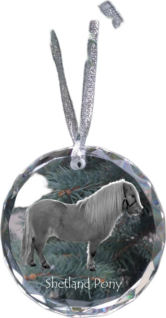 Shetlandpony - Kristallkugel mit einem Foto, Pferdefoto im Kristall, personalisierter Weihnachtsbaumanhänger von der Marke Art-Dog