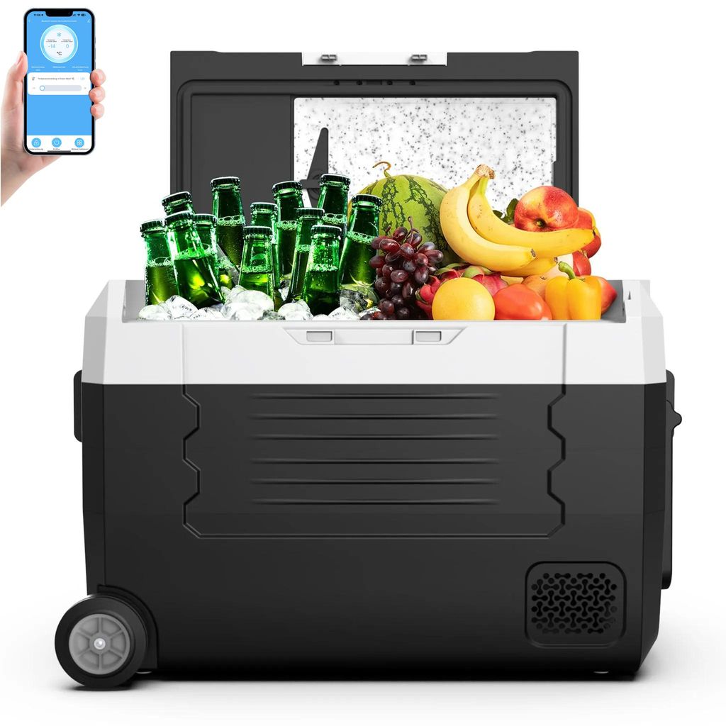 55L Kompressor Kühlbox Dual Zone bis -20℃, 12/24V DC & 230V Produktbild 