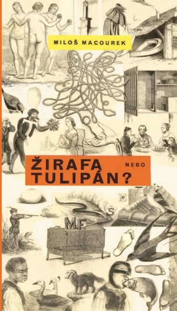 Lire Žirafa nebo tulipán? de Miloš Macourek contes de fées modernes tchèques