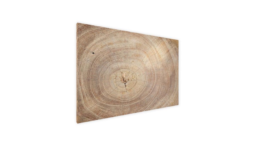 Kovový obraz dřevěné letokruhy 90x60 ALLboards METAL Obrázek produktu 
