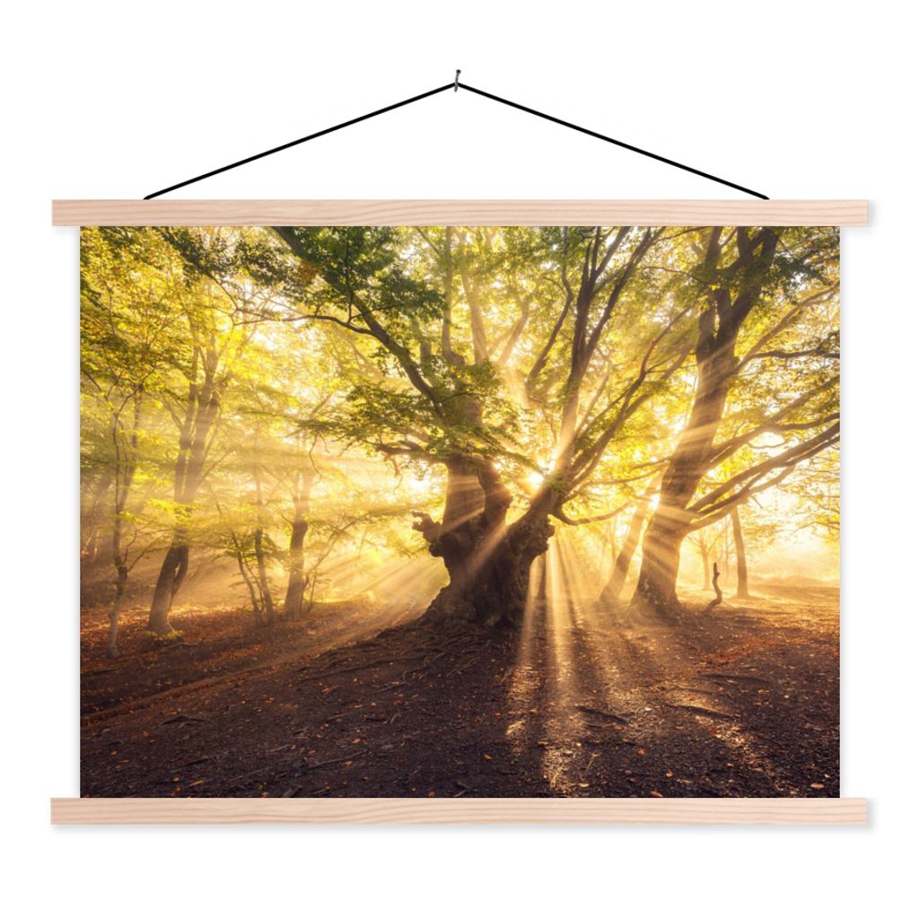 MuchoWow Textilposter Baum - Wald - Sonne 120x90 cm mit holzfarbenen Rahmen - Magnetisch