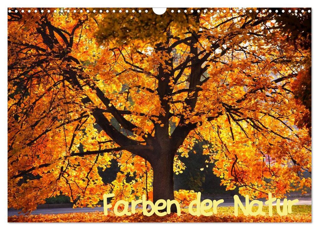 Farben der Natur (Wandkalender 2027 DIN A3 quer), CALVENDO Monatskalender