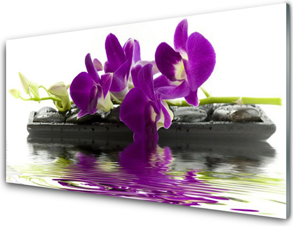 Küchenrückwand aus Glas 100x50cm Spritzschutz Blumen Pflanzen